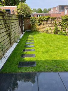 Portfolio afbeelding