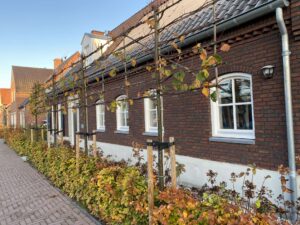 Portfolio afbeelding