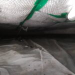 Vloerisolatie vanuit de kruipruimte Afbeelding 1