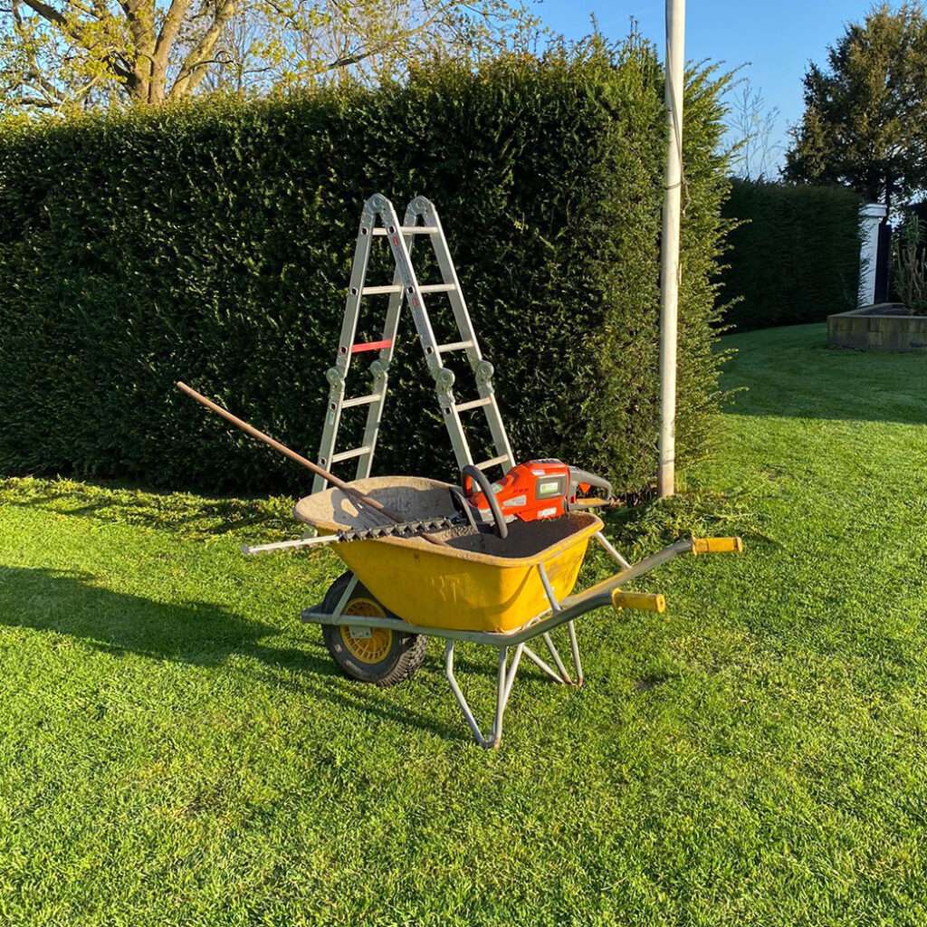 Portfolio afbeelding