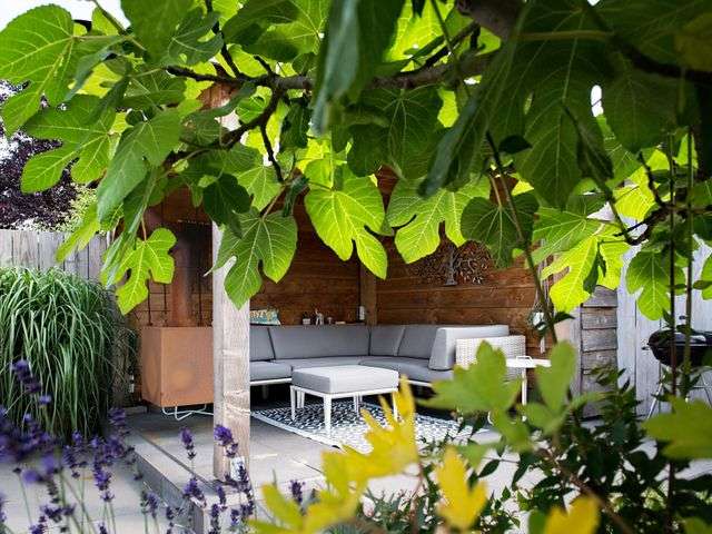 Portfolio afbeelding