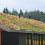 Groen Dak Afbeelding 1