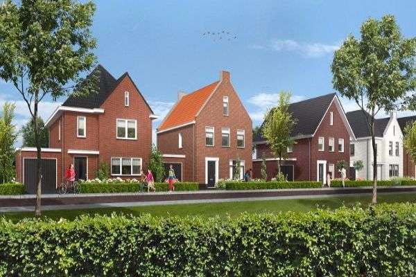 Portfolio afbeelding