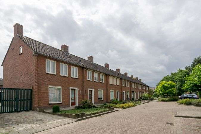 Portfolio afbeelding