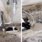 Sanibroyeur Afbeelding 1