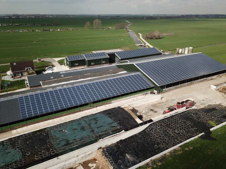 Portfolio afbeelding