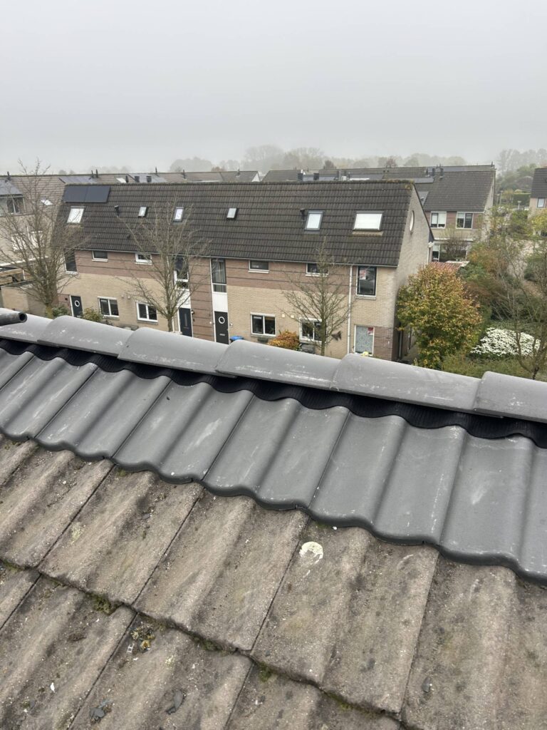 Portfolio afbeelding