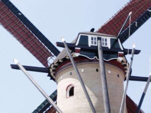 Portfolio afbeelding