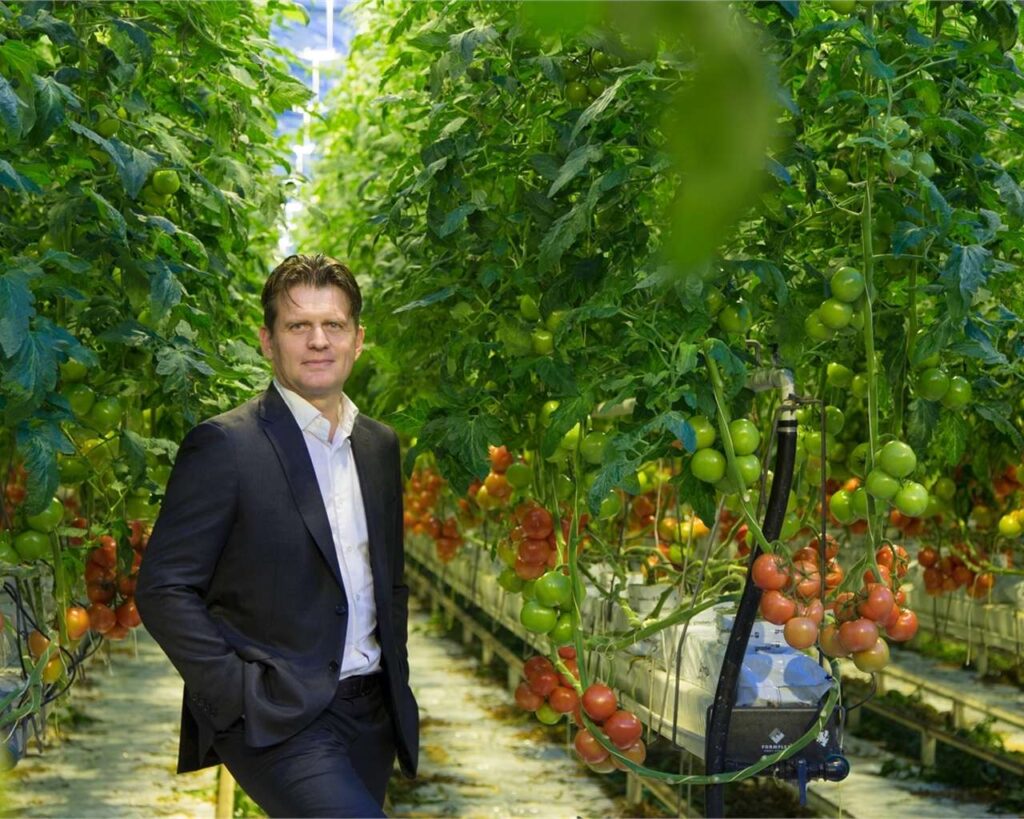 Portfolio afbeelding