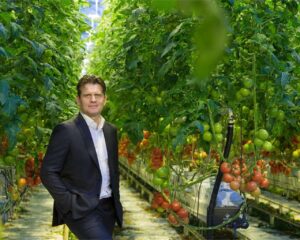 Portfolio afbeelding