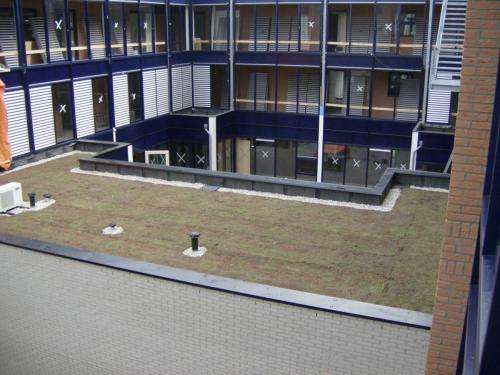 Portfolio afbeelding