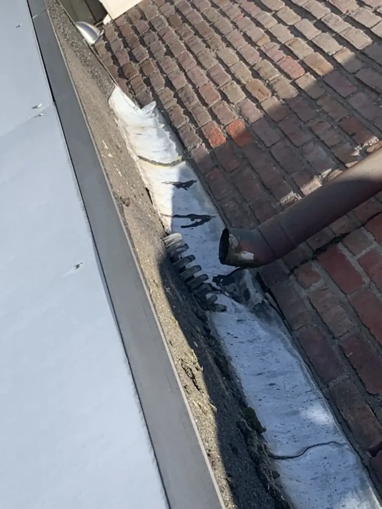 Portfolio afbeelding