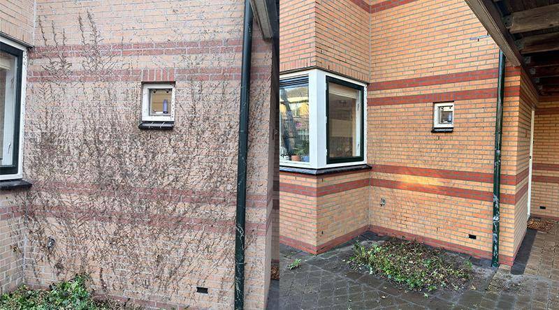 Portfolio afbeelding