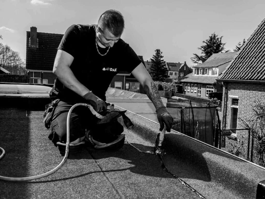 Portfolio afbeelding