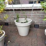 Kruipruimte ventilatie aangebracht Afbeelding 1