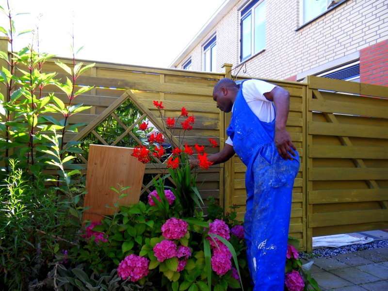 Portfolio afbeelding