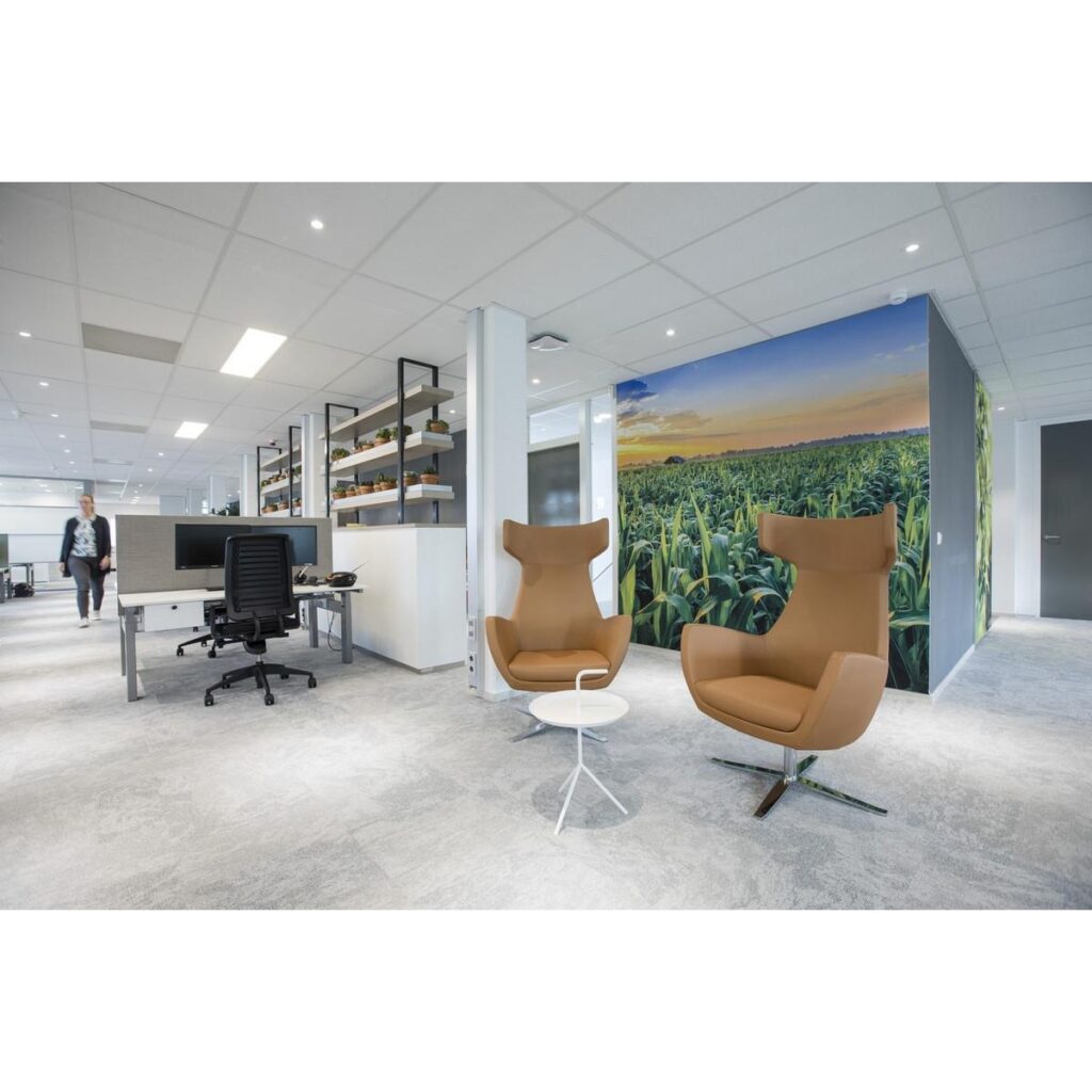 Portfolio afbeelding