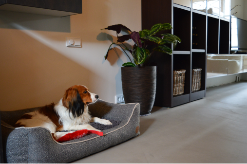 Portfolio afbeelding