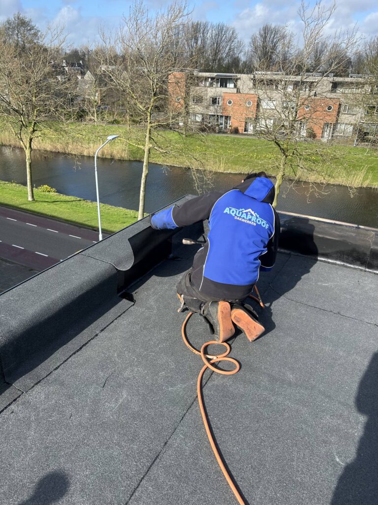 Portfolio afbeelding