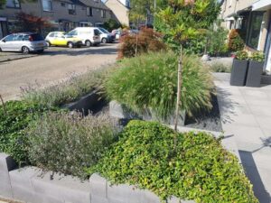 Portfolio afbeelding