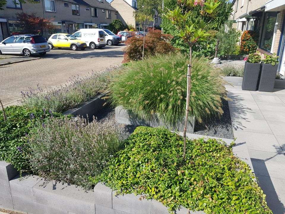 Portfolio afbeelding