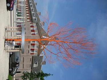 Portfolio afbeelding