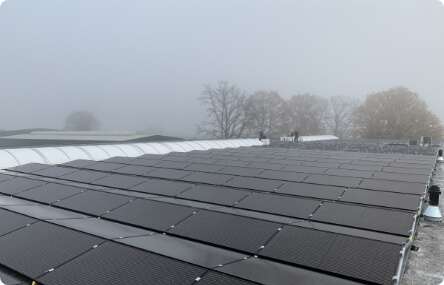 Portfolio afbeelding