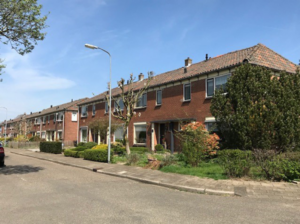 Portfolio afbeelding