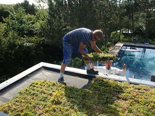 Portfolio afbeelding