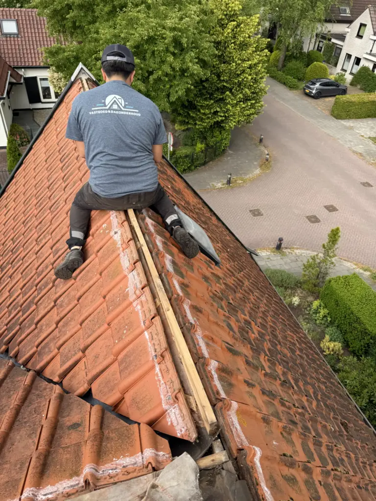 Portfolio afbeelding