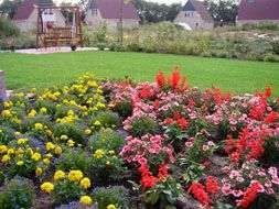 Portfolio afbeelding