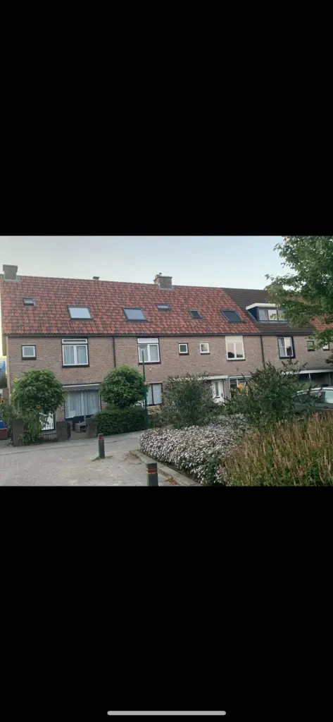 Portfolio afbeelding