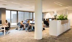 Portfolio afbeelding