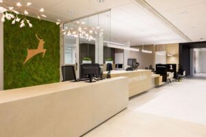 Portfolio afbeelding