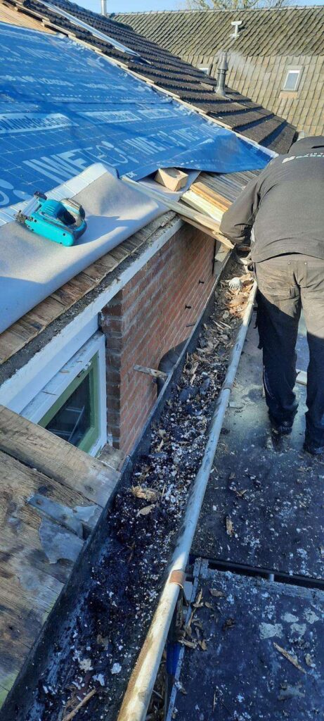 Portfolio afbeelding