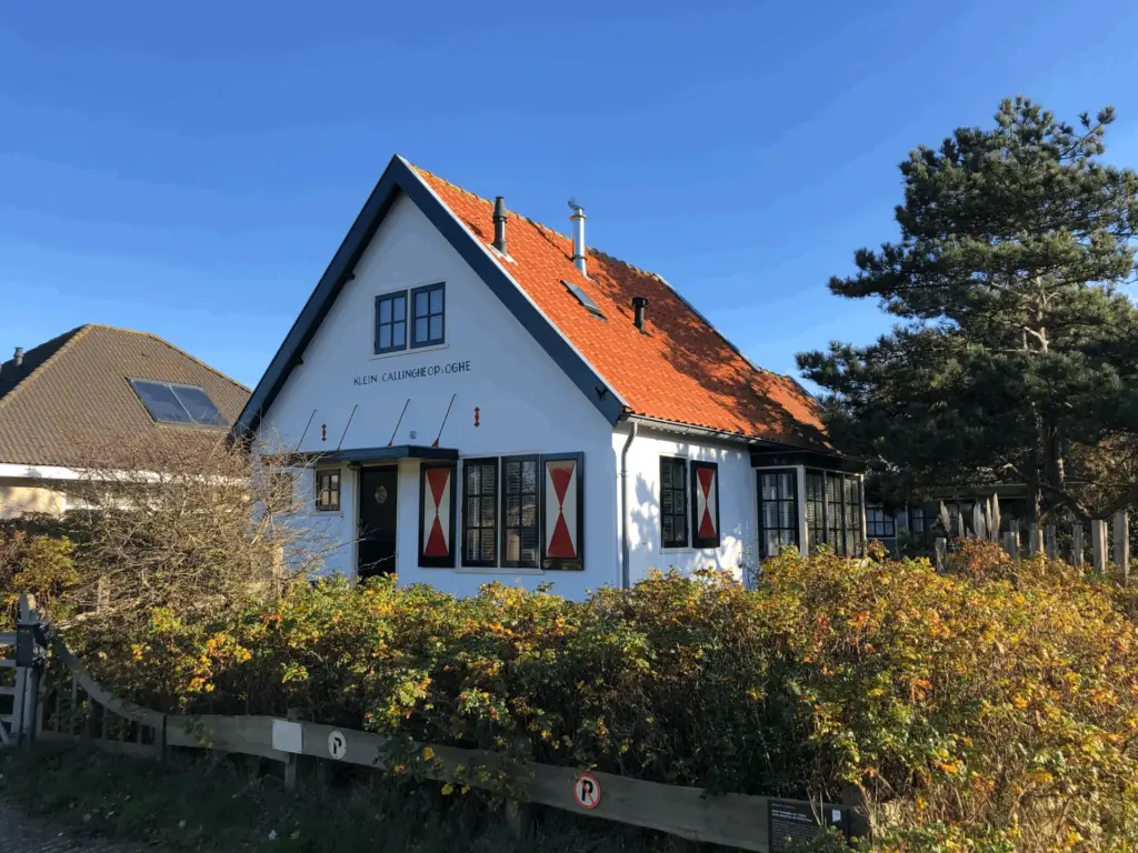 Portfolio afbeelding