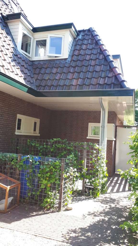 Portfolio afbeelding