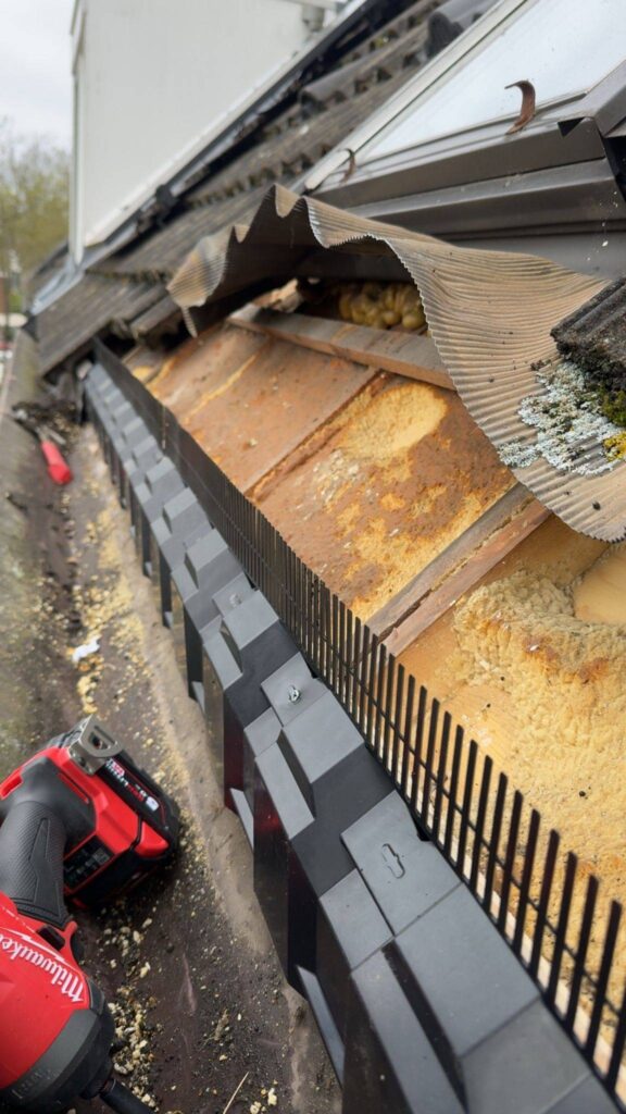 Portfolio afbeelding