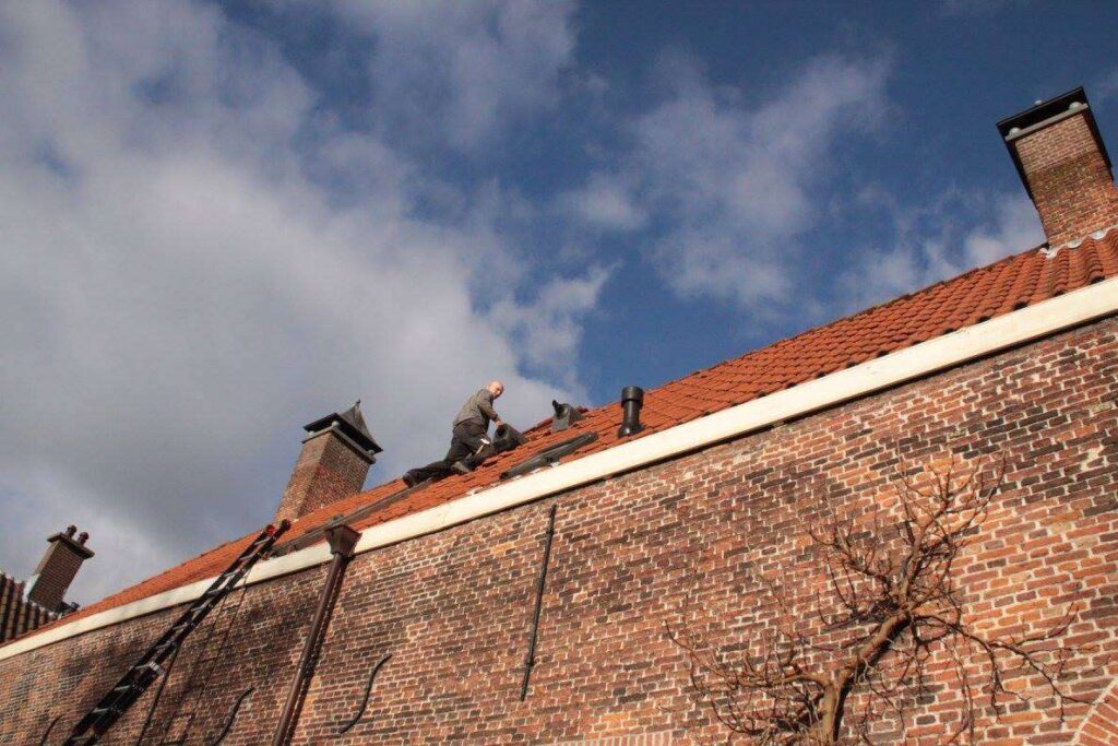 Portfolio afbeelding