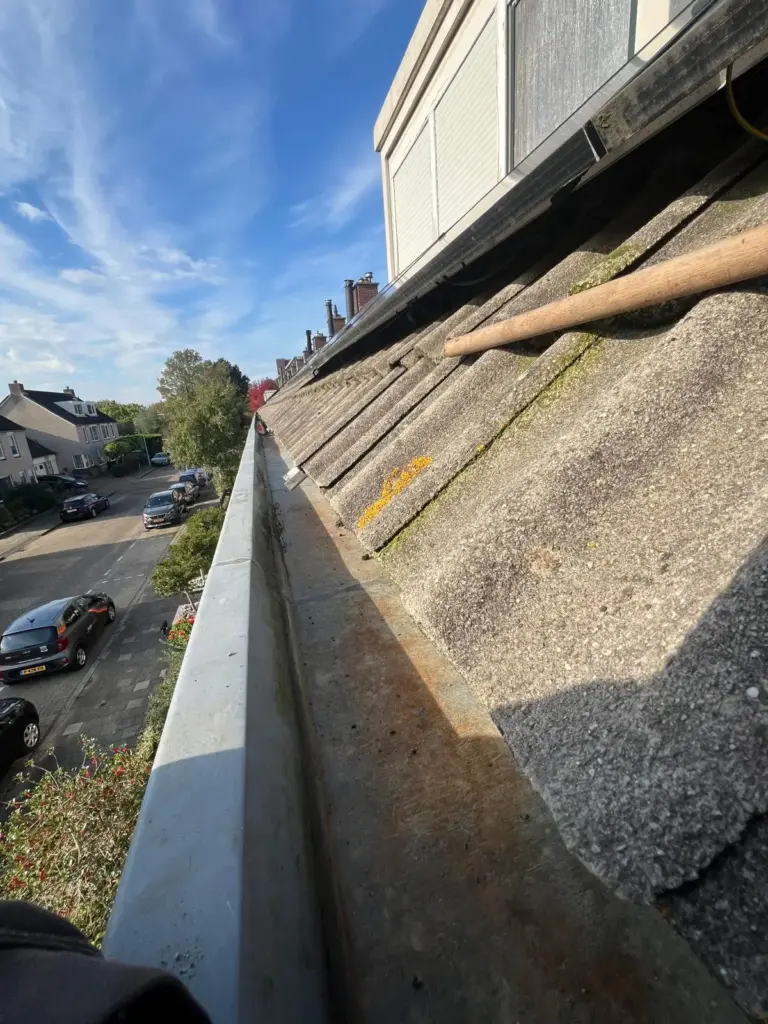 Portfolio afbeelding