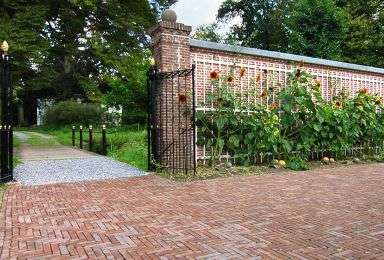 Portfolio afbeelding