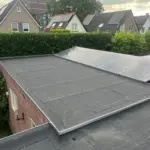 Aanbouwdak en schuurdak - renovatie Afbeelding 1