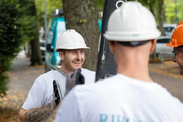 Portfolio afbeelding