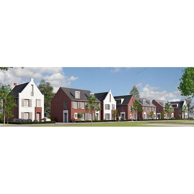 Portfolio afbeelding