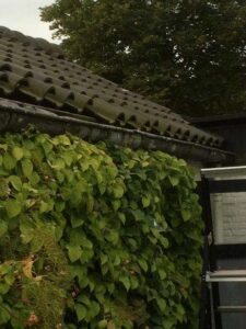 Portfolio afbeelding