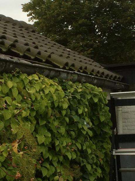 Portfolio afbeelding