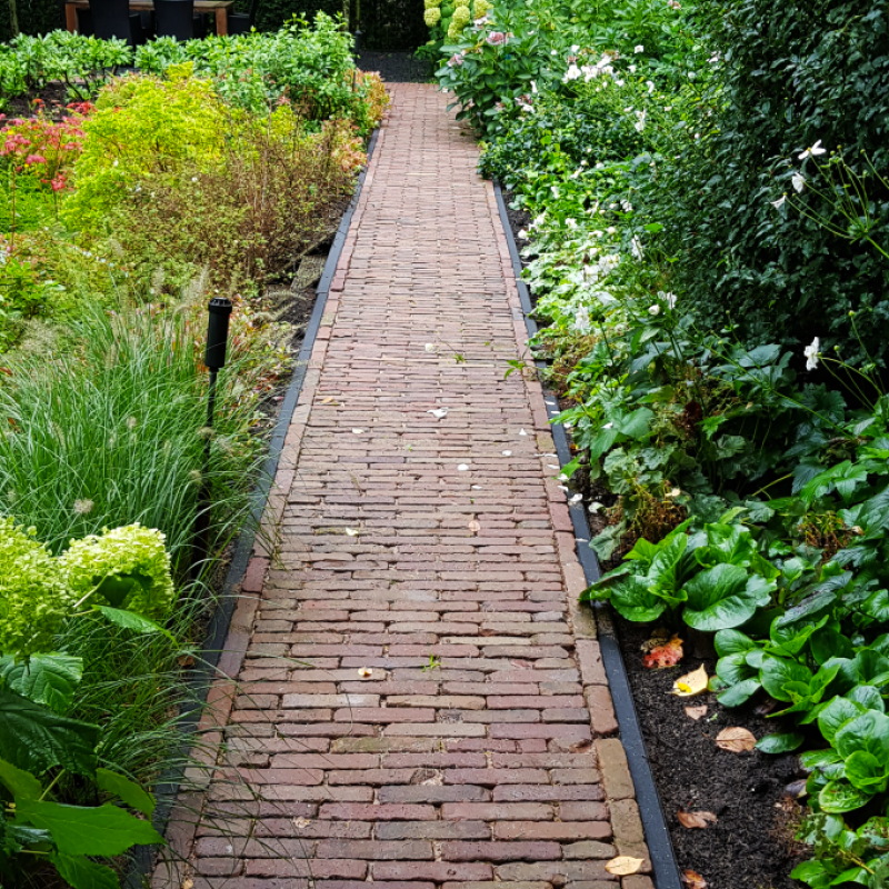 Portfolio afbeelding