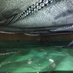 Vloerisolatie vanuit de kruipruimte met Pif bij een betonnen vloer Afbeelding 1