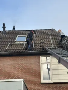 Portfolio afbeelding