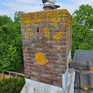 Portfolio afbeelding